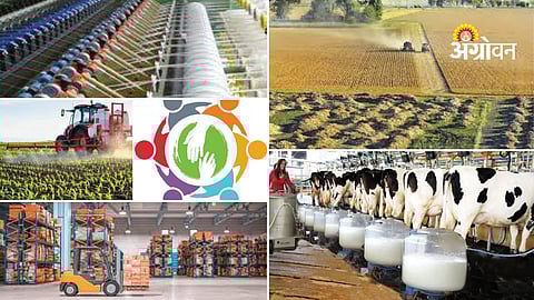 Cooperative farming model in Argentina