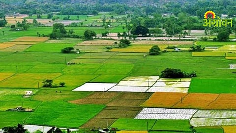 Maharashtra Land Rules