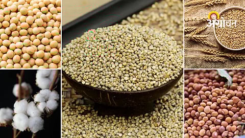 Agri Commodity Market Updates