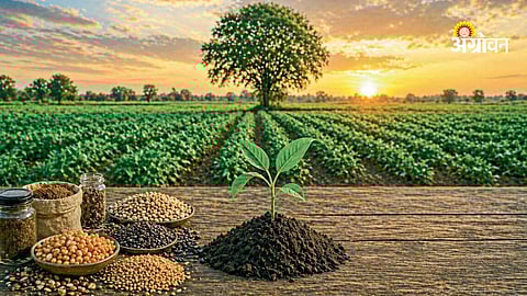 Food security and seed bill 2025