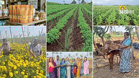 Successful woman farmer story Maharashtra turmeric processing