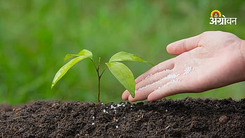 Modern nutrient management techniques in farming