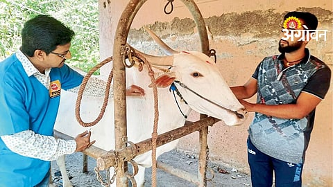 World Veterinary Day