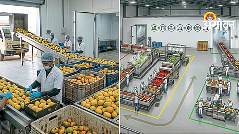 Post Harvest Management