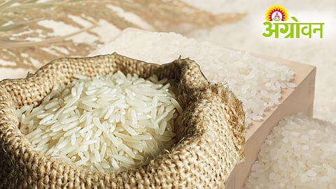 Rice Export