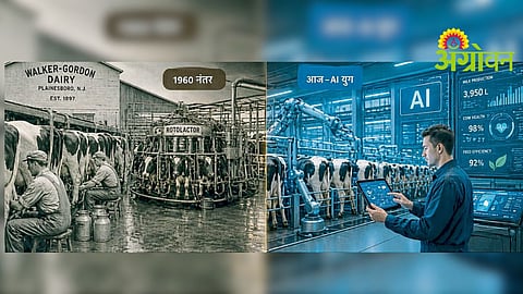 Technology Transformation