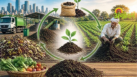 Organic Fertilizer