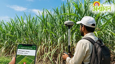 Sugarcane GPS Survey