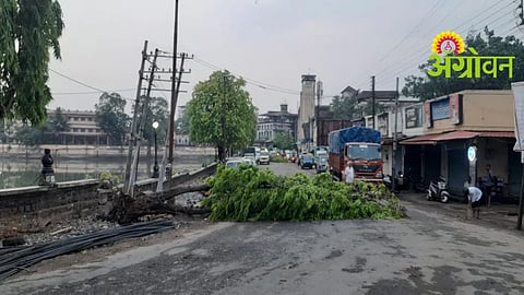 Sawantwadi Rain Damage