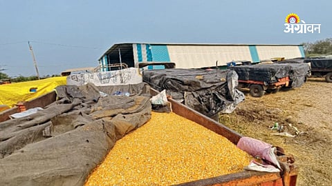 Farmer income support through crop procurement