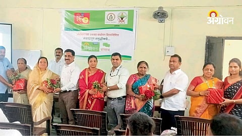 Importance of balanced fertilizer use in agriculture