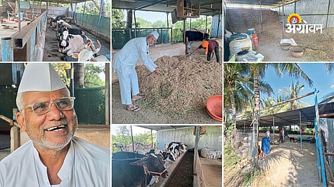 Successful dairy farming model in Maharashtra village