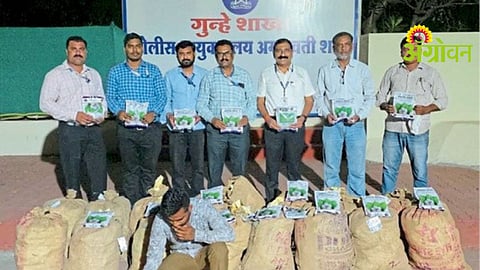 Illegal Cotton Seeds