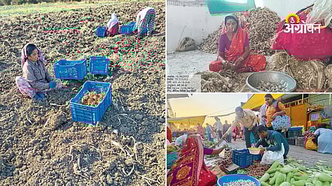 Rural woman entrepreneurship success story Maharashtra