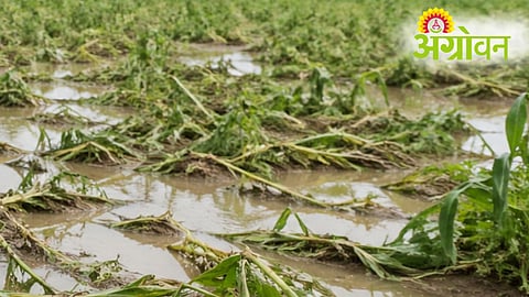 Farmers Compensation