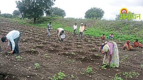 Agriculture Labour Crisis