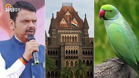 Compensate Farmers Crop Damage