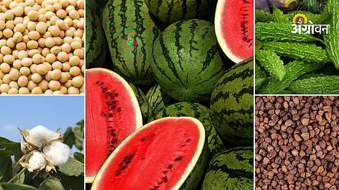 Agri commodity market update India today