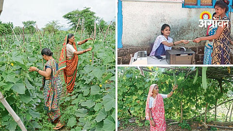 Women Climate Leaders