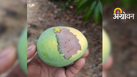 Sindhudurg Cloudy Weather