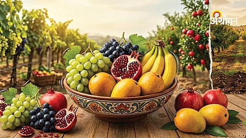 Bright Future for Grapes, Pomegranate and Banana Farming