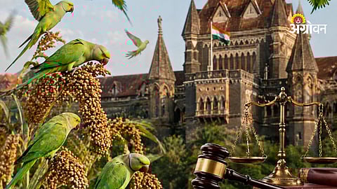 Farmer compensation for crop damage by birds India law