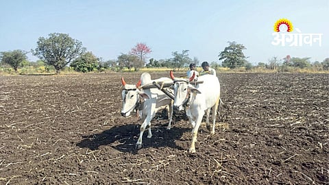 Pre Monsoon Farming Tillage