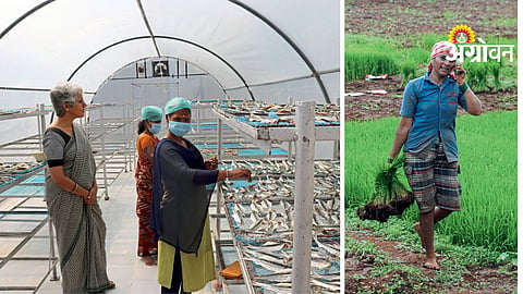 Women Farmers