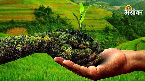 Natural Farming Training