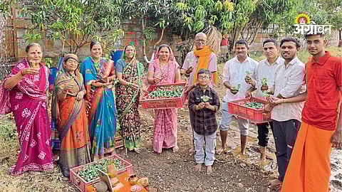 Natural farming project for poison free food