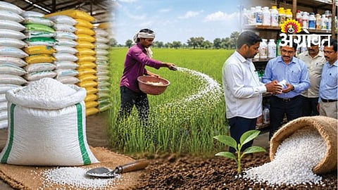 Fertilizer Black Marketing