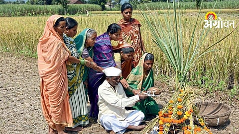 Women In Agriculture