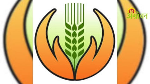 Crop Insurance Claim