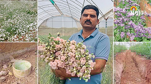 Floriculture success story in Maharashtra saline soil farming