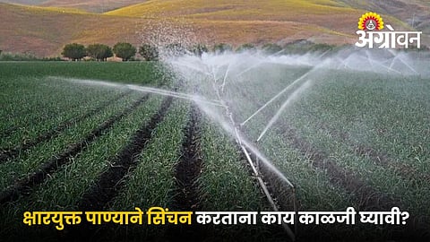 Manage saline water irrigation in agriculture