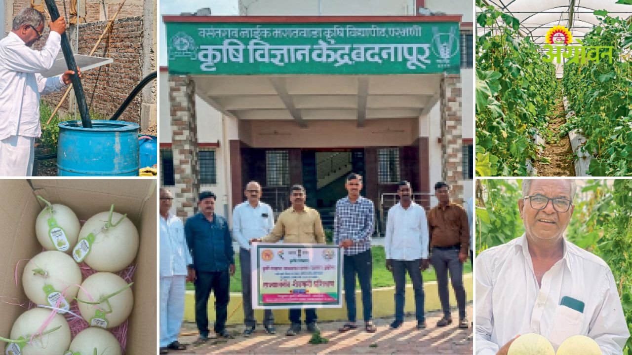 Farming success in saline soil Maharashtra India