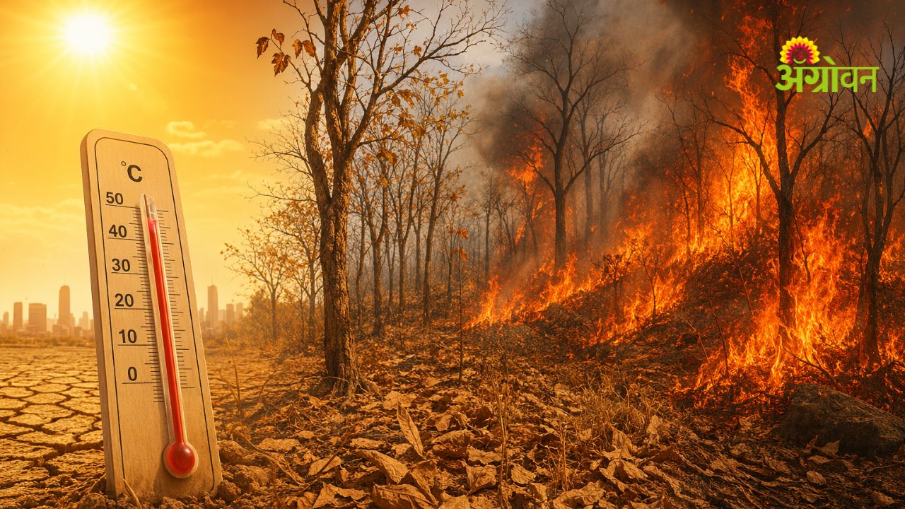 Heatwave and forest fire risk in India summer 2026