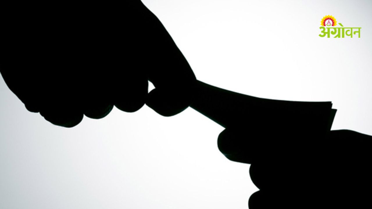 ACB trap case revenue officer Maharashtra bribery