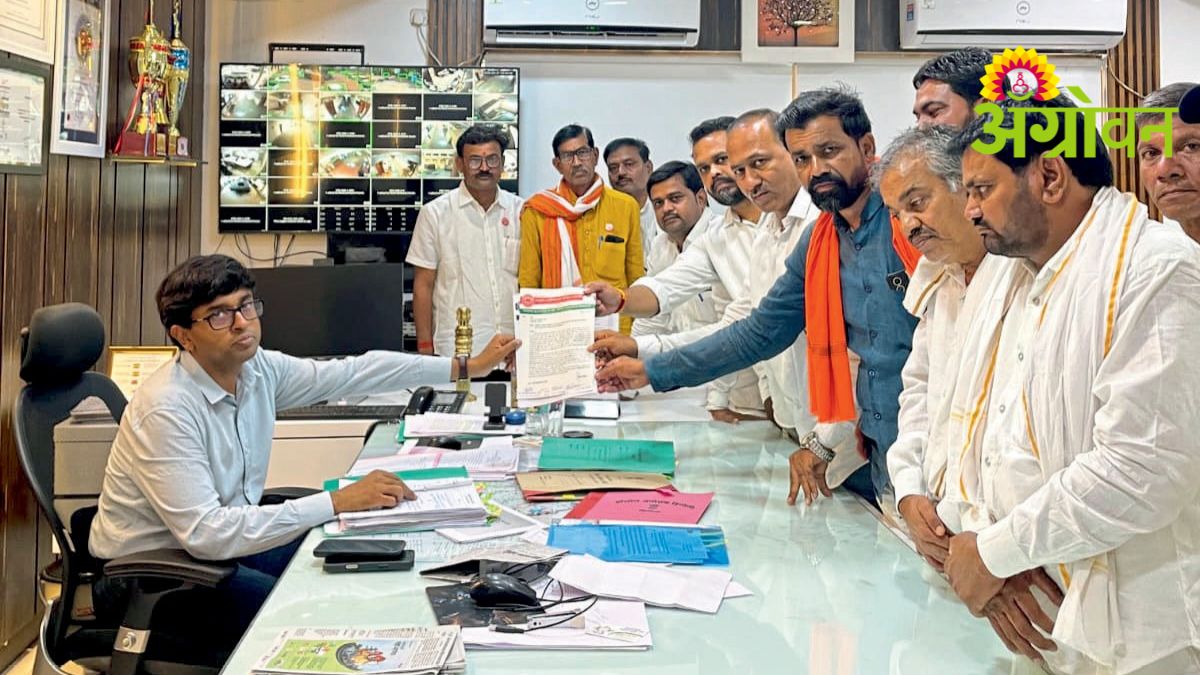 Turmeric Price Issues