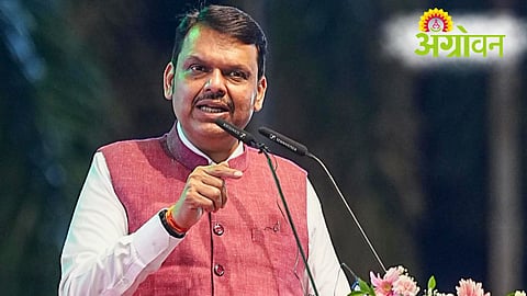 Maharashtra Cabinet Decisions News Updates
