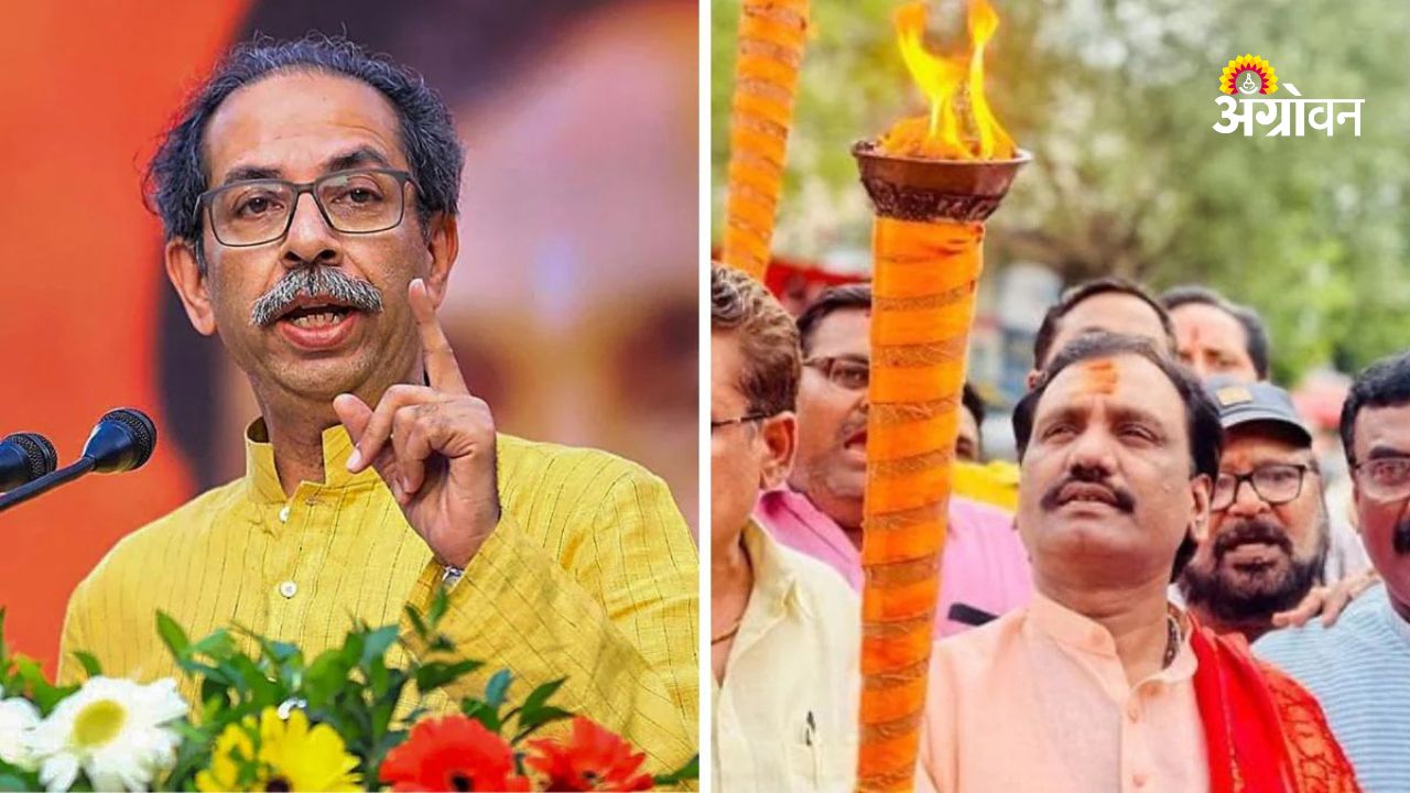 Uddhav Thackeray group political strategy council election