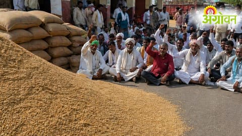 Farmers Protest