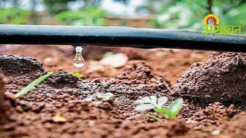 Drip Vendor Registration Issues