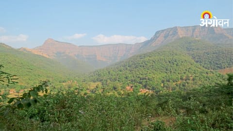 Biodiversity Conservation