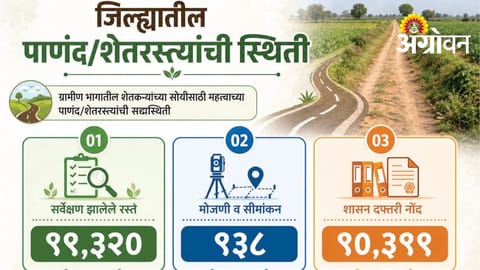 Encroachment Removal Drive Opens Farm Roads in Nashik