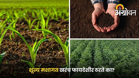 Crops suitable for zero tillage farming