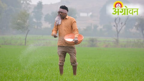 Fertiliser Supply