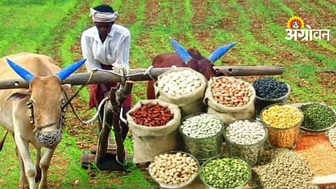 Kharif Crop Demonstration
