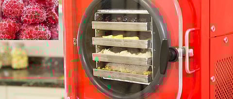 freeze dryer and freeze dried strawberry