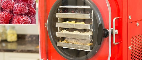 freeze dryer and freeze dried strawberry